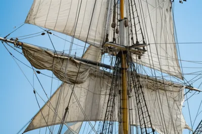 Illustration halyards - Image 1