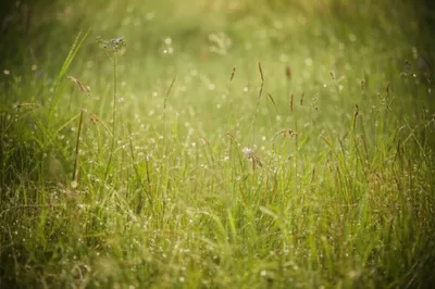 Illustration dags - Image 1