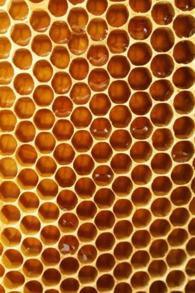 Illustration cells - Image 1