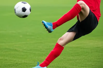 Illustration field - Image 1