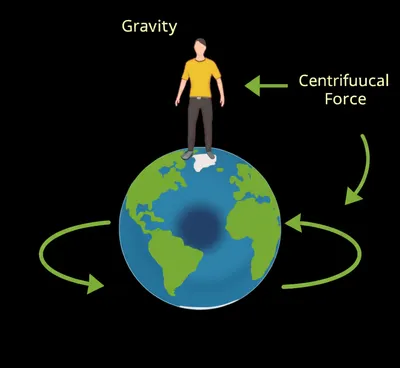 Hình ảnh minh họa gees - Ảnh 1