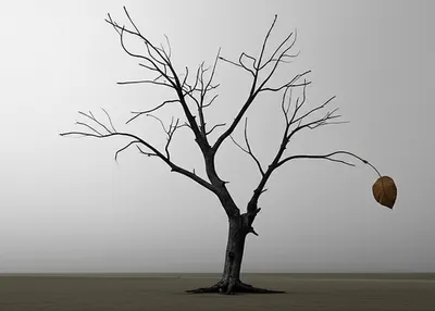 Illustration moribund - Image 1