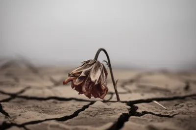 Illustration moan - Image 1