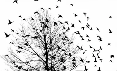 Illustration fled - Image 1