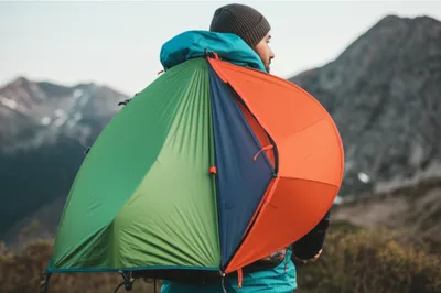 Illustration schwag - Image 1