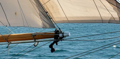 Illustration pt - Image 1