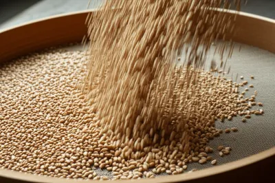 Illustration harps - Image 1