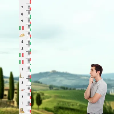 Illustration canna - Image 1