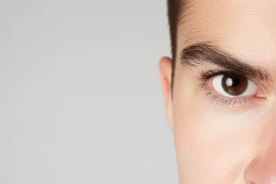 Illustration sidelong - Image 1