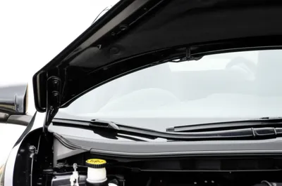 Illustration bonnet - Image 1