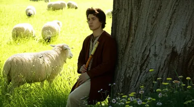 Illustration shepherd - Image 1