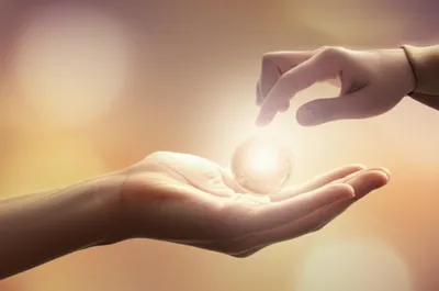 Illustration impart - Image 1