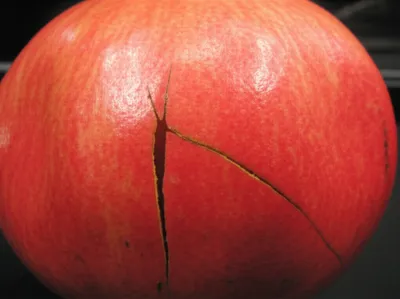 Illustration bursting - Image 1