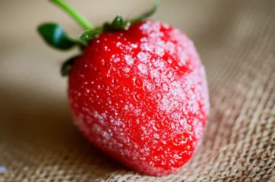 Illustration sugared - Image 1