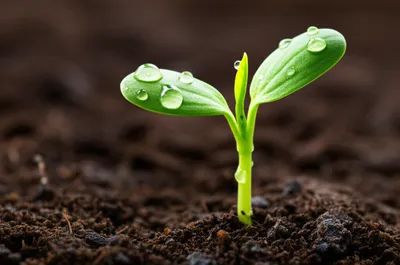 Illustration new - Image 1