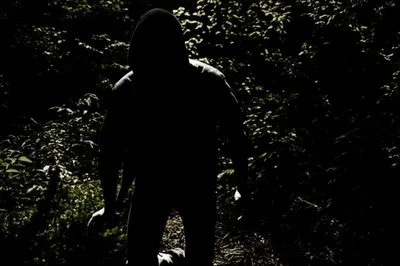 Illustration stalking - Image 1