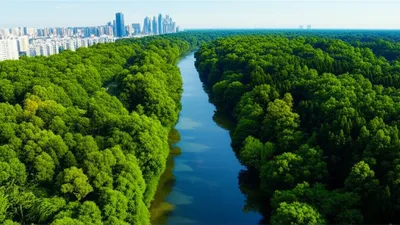 Illustration conserved - Image 1