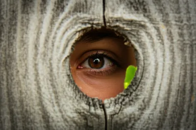 Illustration rove - Image 1