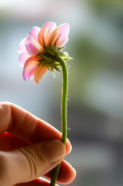 Illustration takes - Image 1