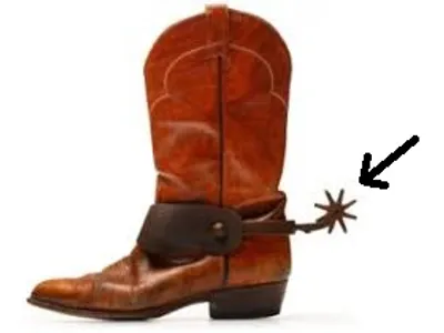 Illustration spur - Image 2