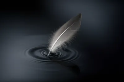 Illustration sharp - Image 1