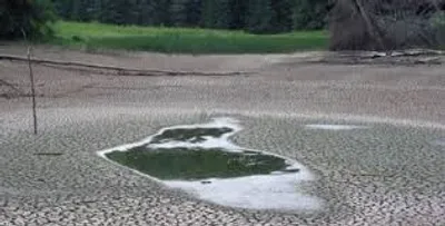 Illustration soak - Image 2