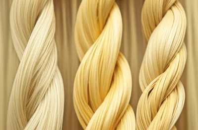 Illustration plaits - Image 1