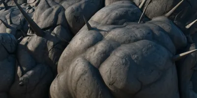 Illustration protuberances