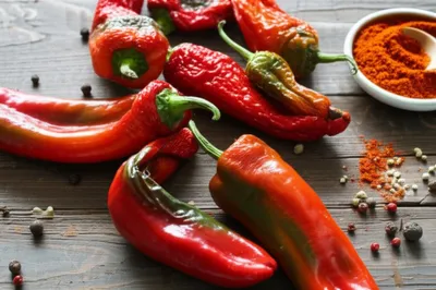 Illustration chilli - Image 1