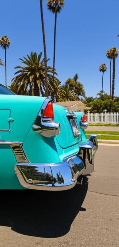 Illustration tailfin - Image 1