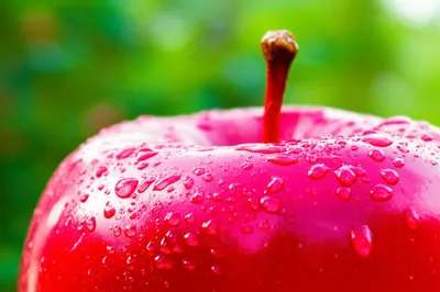 Illustration crisp - Image 1