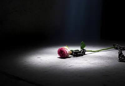 Illustration punishments - Image 1