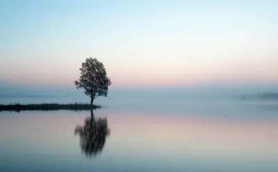 Illustration stills - Image 1