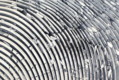 Illustration ash - Image 1