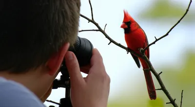 Illustration scope - Image 1