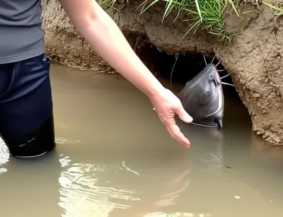 Illustration noodling - Image 1