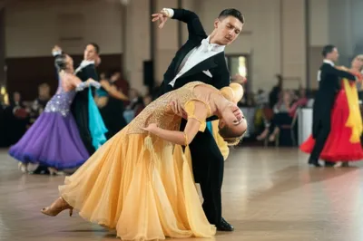 Illustration dipped - Image 1