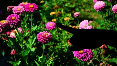 Illustration impute - Image 1