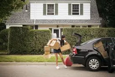 Illustration vacate - Image 2