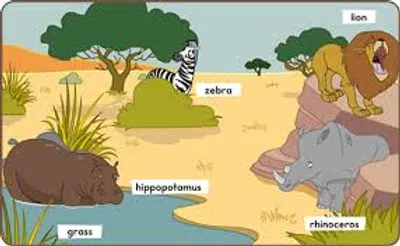 Illustration habitat - Image 2