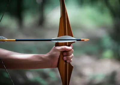 Illustration nock - Image 1