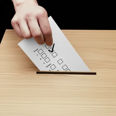 Illustration plumped - Image 1