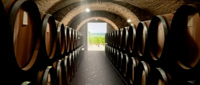 Illustration bodegas - Image 1