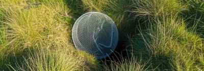 Illustration hay - Image 1