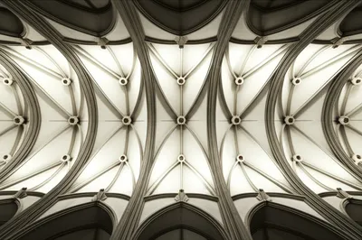 Illustration cells - Image 1