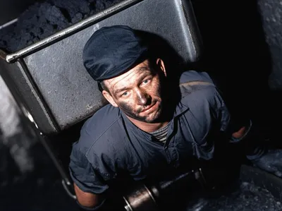 Hình ảnh minh họa mun - Ảnh 1