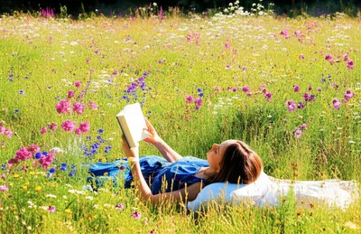 Illustration noncommercial - Image 1