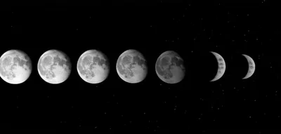 Illustration waned - Image 1