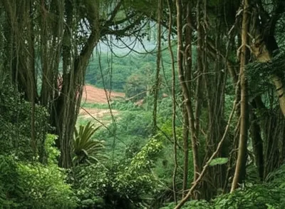 Illustration undeveloped