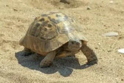 Illustration plodding - Image 2